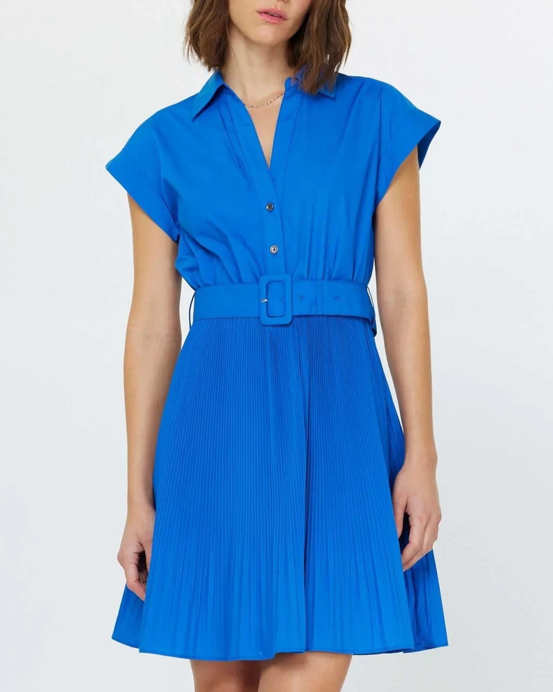 Button Down Dress with Pleated Skirt - Blue