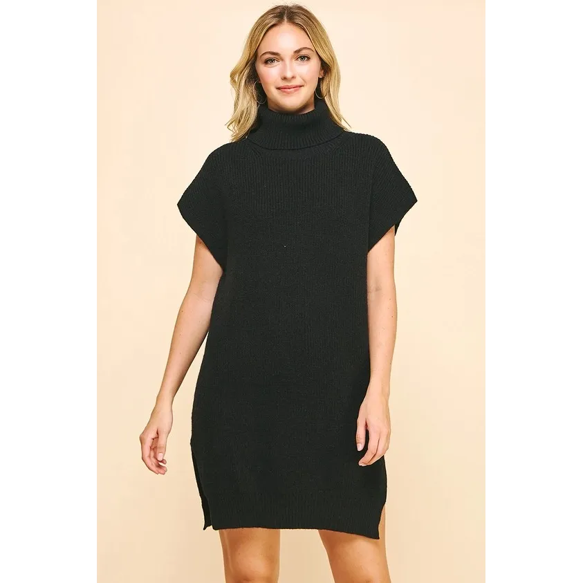 Turtle Neck Sweater Dress