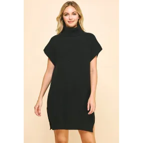 Turtle Neck Sweater Dress